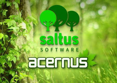 Acernus branding